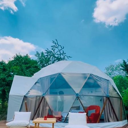 Phalesia Glamping Otel Sapanca Exteriér fotografie