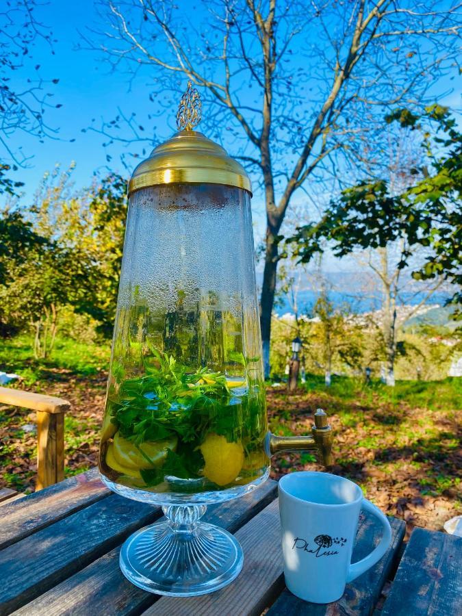 Phalesia Glamping Otel Sapanca Exteriér fotografie