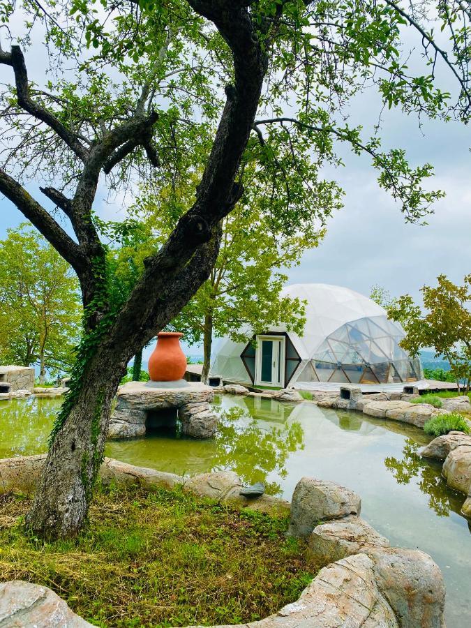 Phalesia Glamping Otel Sapanca Exteriér fotografie