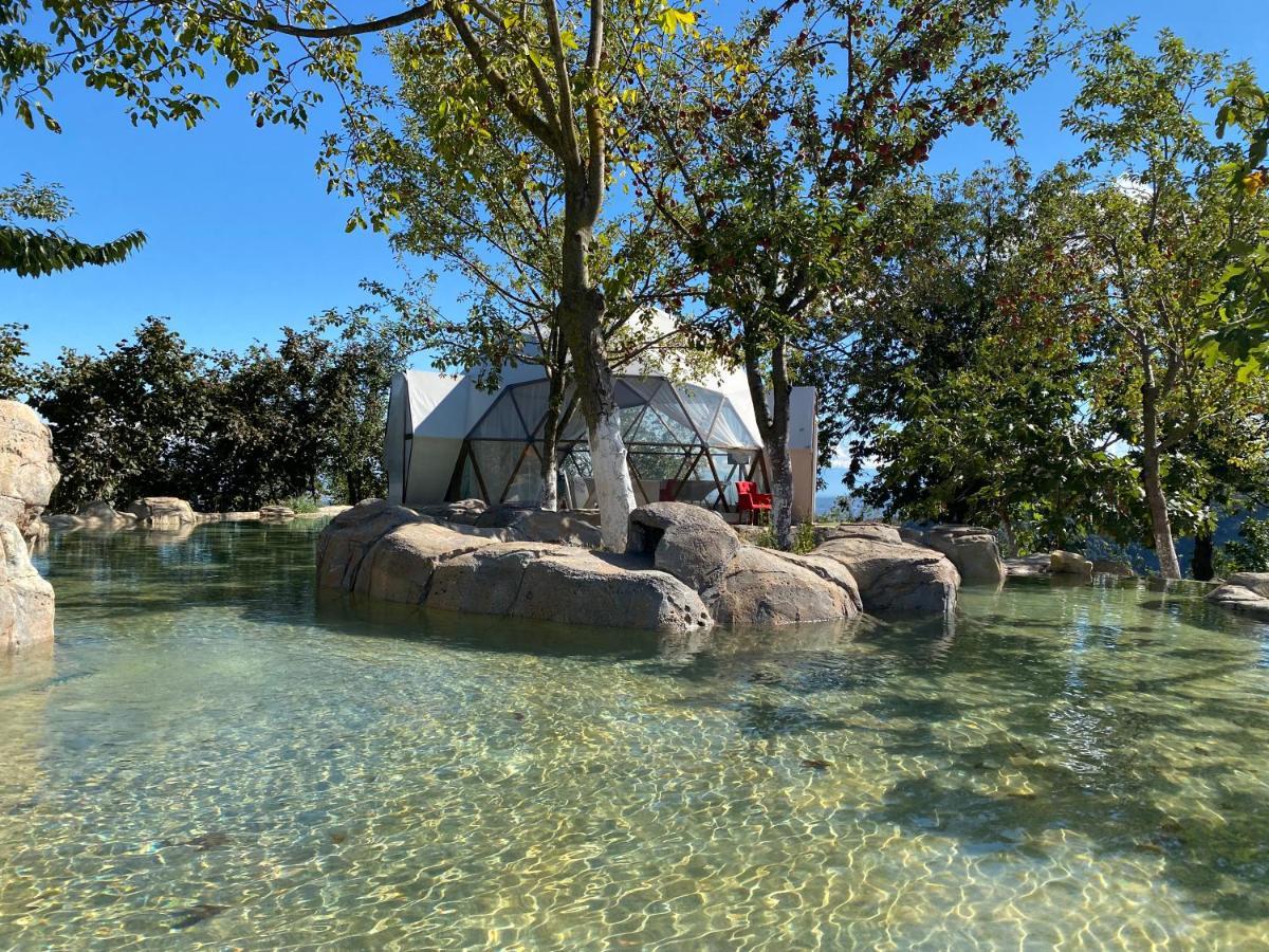 Phalesia Glamping Otel Sapanca Exteriér fotografie