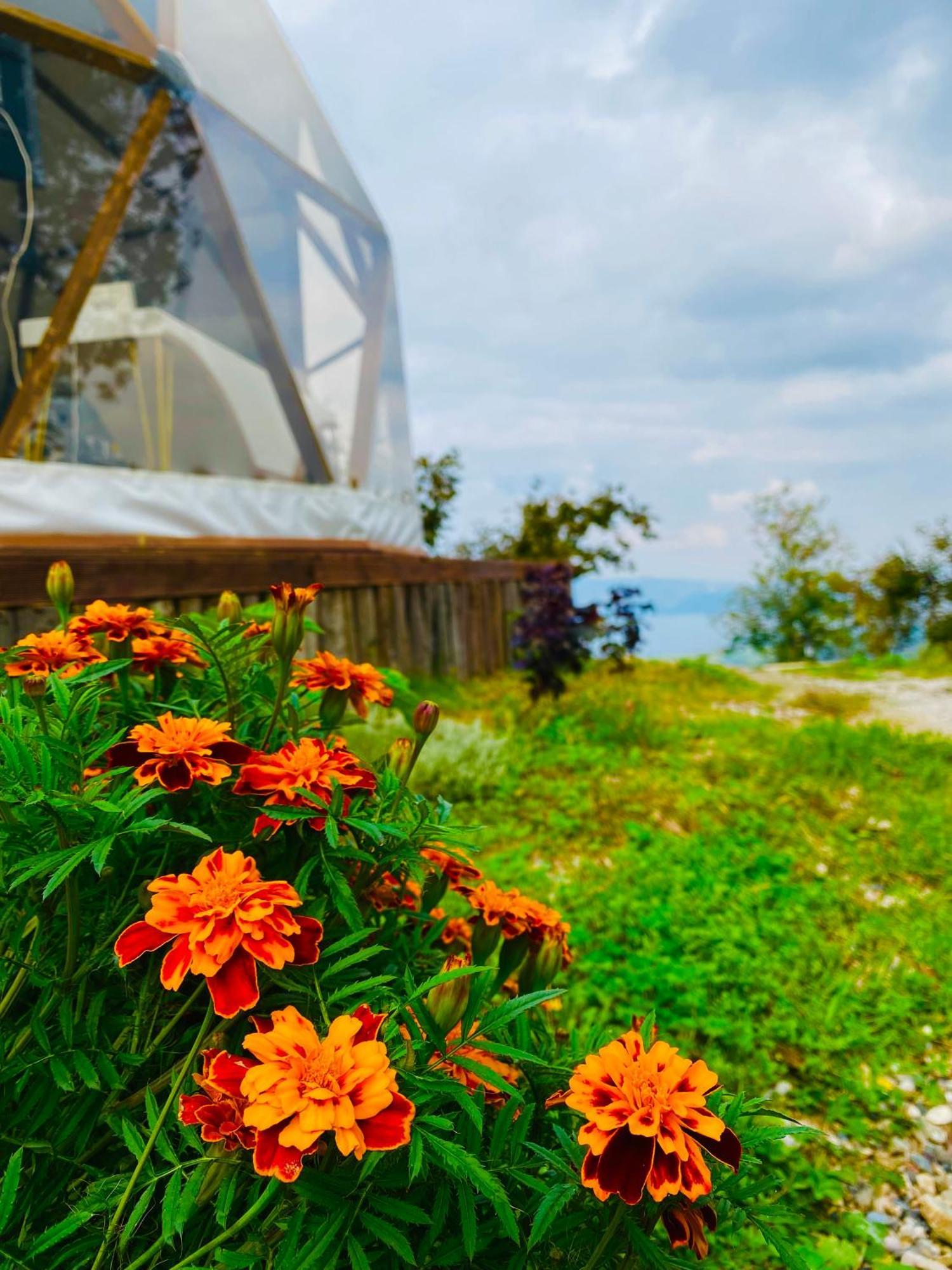 Phalesia Glamping Otel Sapanca Exteriér fotografie