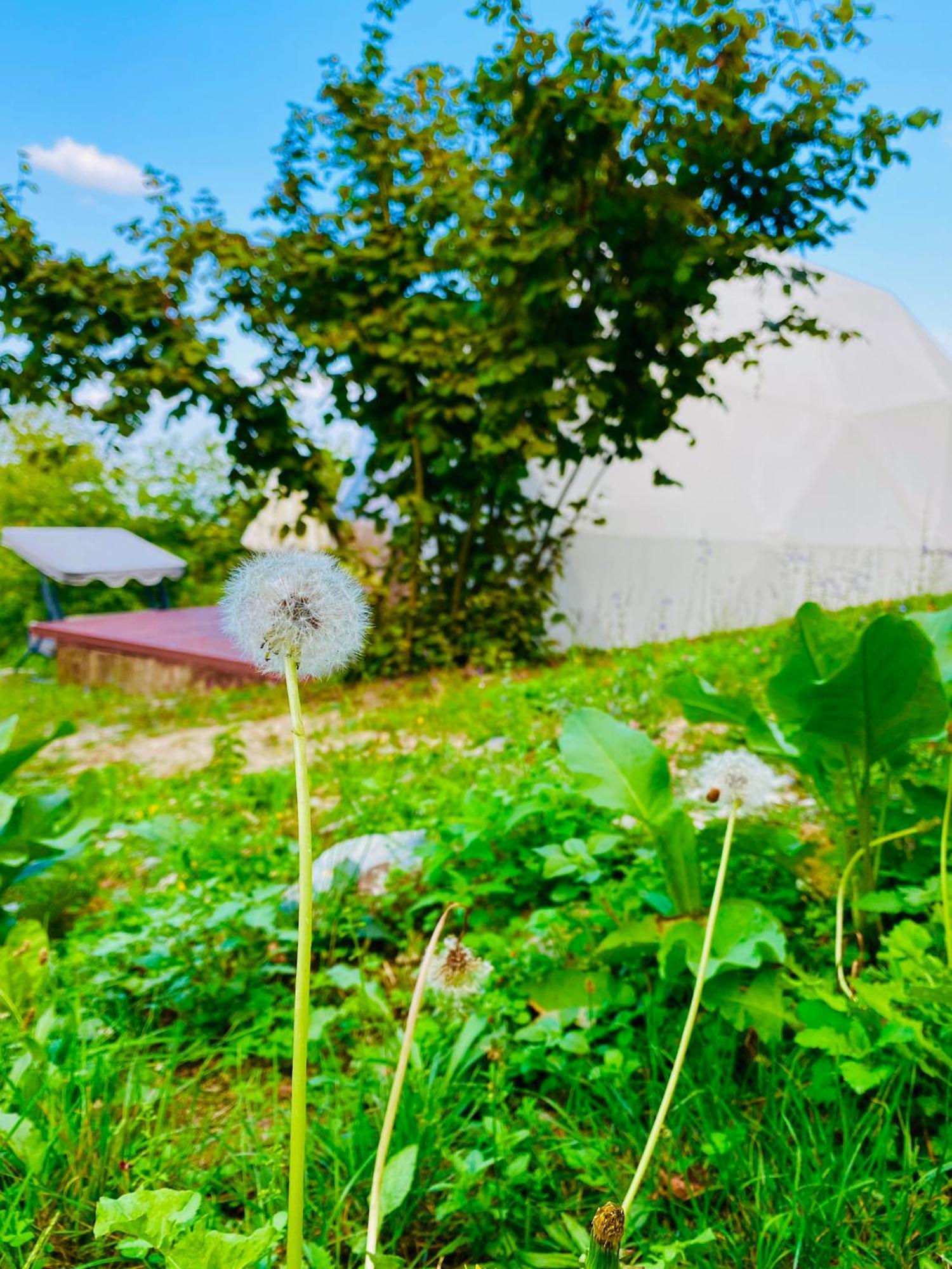 Phalesia Glamping Otel Sapanca Exteriér fotografie